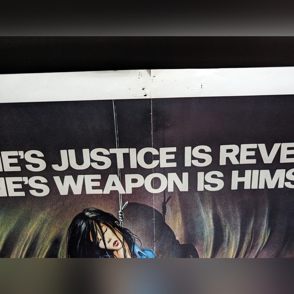 Chuck Norris Movie Poster - Picture 3 of 11